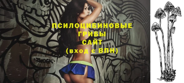 прущая мука Абаза